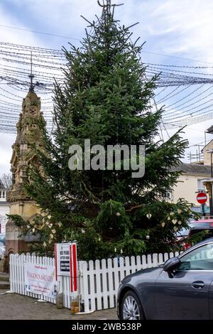 Albero di Natale nella piazza del mercato del centro della città accanto alla vecchia fontana ornata di Saffron Walden Foto Stock