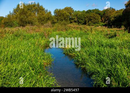 Il fiume Chess vicino a Rickmansowrth - un ruscello di gesso nel sud dell'Inghilterra Foto Stock