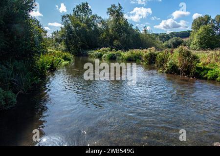 Il fiume Chess vicino a Rickmansowrth - un ruscello di gesso nel sud dell'Inghilterra Foto Stock