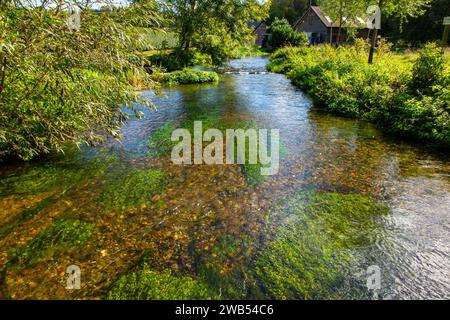 Il fiume Chess vicino a Rickmansowrth - un ruscello di gesso nel sud dell'Inghilterra Foto Stock