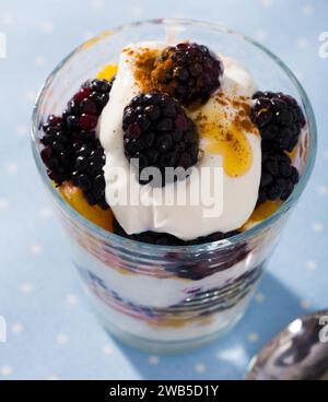 Blackberry e orange yogurt - deliziosi dessert estivo Foto Stock
