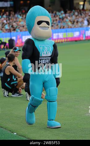 Brisbane, Australia. 7 gennaio 2024. La mascotte Brisbane Heat intrattiene la folla durante il match della Big Bash League tra Brisbane Heat e Hobart Hurrica Foto Stock