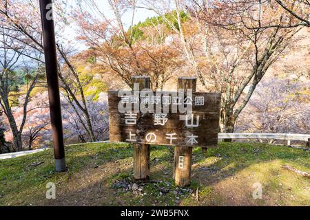 I ciliegi fioriscono in piena fioritura al Monte Yoshino, Yoshino-Kumano National Park. Distretto di Yoshino, Prefettura di Nara, Giappone. Foto Stock