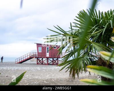 Palme sullo sfondo di un cielo grigio nuvoloso. Cabina di soccorso in mare in bassa stagione. I bagnini non funzionano. Inverno in mare. Foto Stock