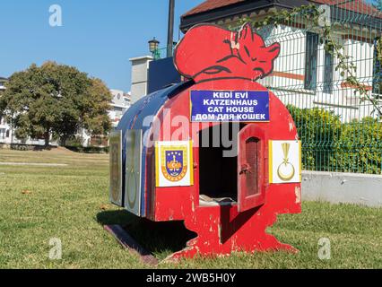 Cat House , insegna bilingue in russo turco inglese ad Antalya Turchia Foto Stock