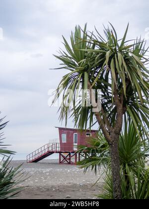 Palme sullo sfondo di un cielo grigio nuvoloso. Cabina di soccorso in mare in bassa stagione. I bagnini non funzionano. Inverno in mare. Foto Stock