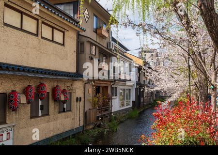 I ciliegi fioriscono lungo il fiume Takase (canale Takase-gawa) e Kiyamachi Street. Vecchie case popolari giapponesi. Kyoto, Giappone Foto Stock