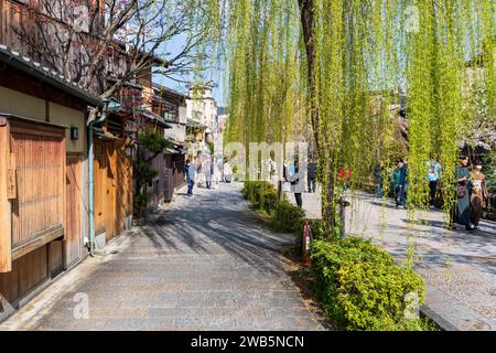 Persone che si godono la fioritura dei ciliegi lungo la strada del fiume Gion Shirakawa. Vecchie case popolari giapponesi. Kyoto, Giappone Foto Stock