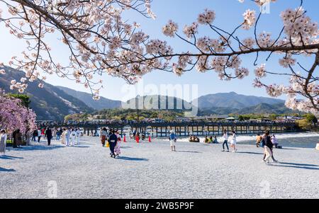 Persone che si godono la fioritura dei ciliegi lungo il fiume Katsura e il ponte Togetsukyo nel distretto di Arashiyama. Kyoto, Giappone. Foto Stock