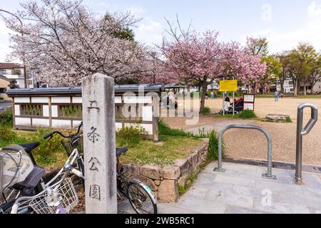 Kyoto, Giappone - marzo 27 2023: Fioritura dei ciliegi nel Parco Nijo. Foto Stock