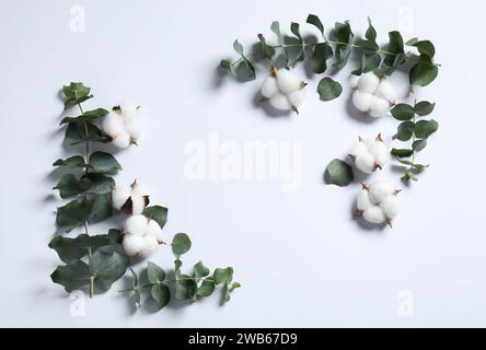 Fiori di cotone soffici e rami di eucalipto su sfondo bianco, giacenza piatta. Spazio per il testo Foto Stock