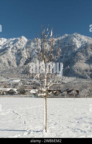 Vaduz, Liechtenstein, 3 dicembre 2023 atmosfera invernale celeste nella valle del reno in una giornata di sole con un cielo azzurro Foto Stock