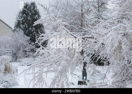San Gallo, Svizzera, 28 novembre 2023 piante coperte di neve fresca caduta nell'orto botanico Foto Stock