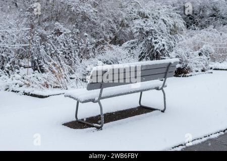 San Gallo, Svizzera, 28 novembre 2023 la panca vuota è coperta di neve fresca nel giardino botanico Foto Stock