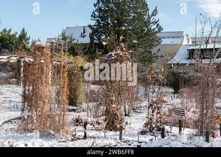 San Gallo, Svizzera, 29 novembre 2023 romantico paesaggio invernale nel giardino botanico Foto Stock