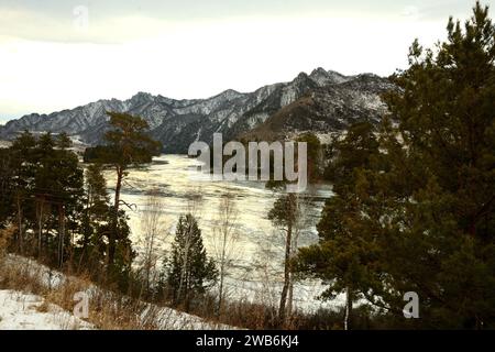 Uno sguardo attraverso i tronchi di alti pini che crescono sulle rive di uno splendido fiume fuso circondato da montagne innevate in un soleggiato inverno Foto Stock