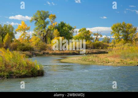 Fiume Missouri confluenza, Missouri Sorgenti del parco statale, Montana Foto Stock