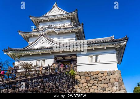 Castello di Hojo Odawara Kanagawa Giappone. Il Clan Hojo controllò il castello fino al 1590, quando Heideyoshi sconfisse gli Hojo. Il castello fu dato a Tokugawa Ieyasu. Cast Foto Stock