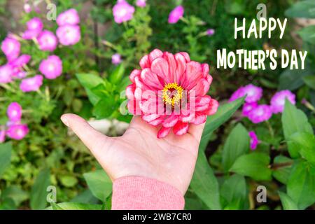 La fioritura di Zinnia, con un caloroso desiderio per la festa della mamma, cattura l'essenza dell'apprezzamento e dell'amore. Foto Stock