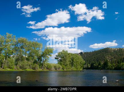 Big Hole River, divide Bridge Recreation area, Butte Field Office Bureau of Land Management, Montana Foto Stock