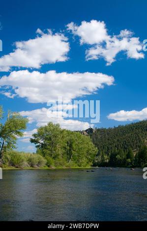 Big Hole River, divide Bridge Recreation area, Butte Field Office Bureau of Land Management, Montana Foto Stock