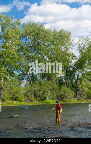 Pesca a Mosca il foro grande fiume, dividere Bridge Area ricreativa, Butte Field Office Bureau of Land Management, Montana Foto Stock