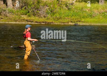 Pesca a Mosca il foro grande fiume, dividere Bridge Area ricreativa, Butte Field Office Bureau of Land Management, Montana Foto Stock