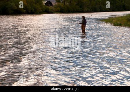 Sagoma della pesca con la mosca sul fiume Big Hole, area ricreativa di divide Bridge, Butte Field Office Bureau of Land Management, Montana Foto Stock