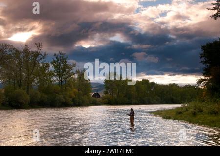 Sagoma della pesca con la mosca sul fiume Big Hole, area ricreativa di divide Bridge, Butte Field Office Bureau of Land Management, Montana Foto Stock