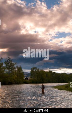 Sagoma della pesca con la mosca sul fiume Big Hole, area ricreativa di divide Bridge, Butte Field Office Bureau of Land Management, Montana Foto Stock