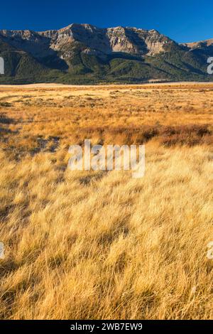 Taylor Montagna in Centennial Mountains, Red Rock Lakes National Wildlife Refuge, Montana Foto Stock