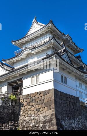 Castello di Hojo Odawara Kanagawa Giappone. Il Clan Hojo controllò il castello fino al 1590, quando Heideyoshi sconfisse gli Hojo. Il castello fu dato a Tokugawa Ieyasu. Cast Foto Stock