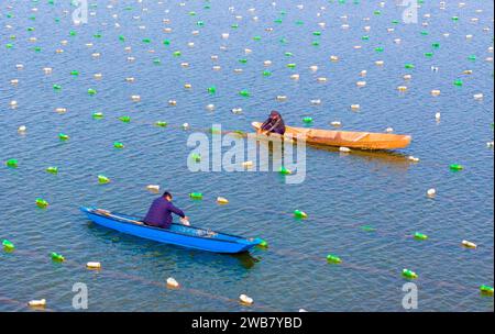 SUQIAN, CINA - 9 GENNAIO 2024 - gli agricoltori controllano la crescita di ostriche perlate sulla superficie idrica di un bacino idrico di Suqian, provincia di Jiangsu, 9 gennaio 20 Foto Stock