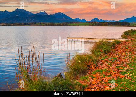 Alba autunnale con un molo sul lago Hopfen con le Alpi Allgauer sullo sfondo. Il lago Hopfen si trova vicino alla città di Füssen in Baviera, a sud Foto Stock