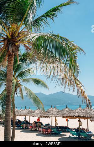 La mia spiaggia di Khe con ombrellone e palma a da Nang, Vietnam Foto Stock