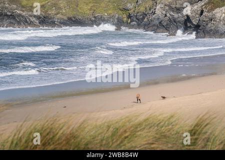 La figura lontana di un cane che cammina e del suo cane che cammina sulla Holywell Beach a Newquay, in Cornovaglia, nel Regno Unito. Foto Stock