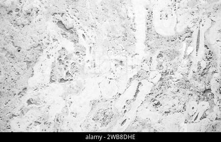 Parete bianca con motivo decorativo in gesso a rilievo, vista frontale. Texture astratta per foto in bianco e nero Foto Stock