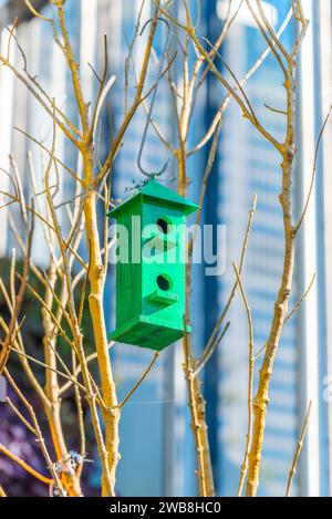 Con un alto edificio cittadino sullo sfondo, una scatola di uccelli dipinta di verde fatta a mano pende su un albero presso i Royal Botanic Gardens, Sydney, Australia Foto Stock