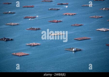 Vista aerea delle zattere di acquacoltura delle cozze in Galizia - Spagna Foto Stock