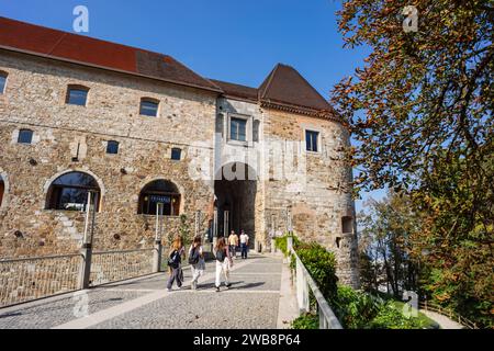 Castello e fortificazione di Lubiana, Lubiana, Slovenia, Europa centrale, Foto Stock