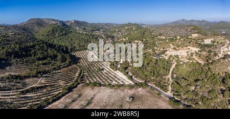 Strada sa Mola e capolinea regionale Manacor, Maiorca, Isole Baleari, Spagna Foto Stock