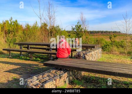 Escursionista con il suo bassotto che si prende una pausa nell'area di riposo e punto di osservazione, alberi in pianura sullo sfondo, tavolo da picnic e panchina, Hoge Kempen nationa Foto Stock