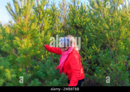 Donna adulta anziana che cerca e sceglie un pino in una fattoria ecologica di alberi di Natale, vivaio vicino alla foresta, abbigliamento informale, giacca rossa Foto Stock