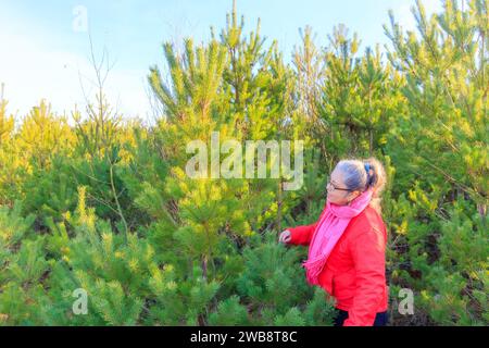 Fattoria ecologica sull'albero di Natale con donna adulta che cerca e sceglie un pino, vivaio vicino alla foresta, abiti informali, giacca rossa Foto Stock