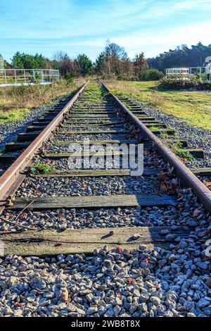 Prospettiva angolare bassa dei binari ferroviari verso un ponte con alberi sullo sfondo, paesaggio forestale contro il cielo blu, giornata di sole a Hoge Kempen National Foto Stock