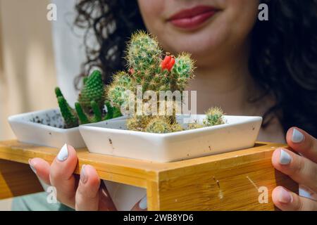 primo piano di una giovane donna irriconoscibile all'aperto che tiene le sue piccole piante di cactus in vasi bianchi, piante e decorazioni. Foto Stock