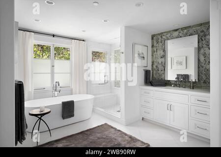 Un bagno elegante e moderno con pareti bianche pulite e ripiani in marmo grigio brillante, completato da pavimenti in piastrelle scure Foto Stock