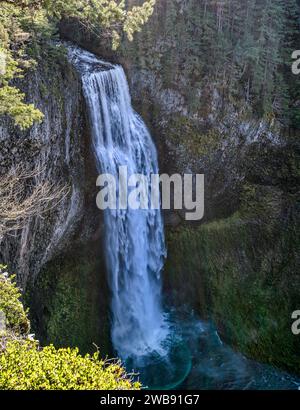 Le splendide cascate di Salt Creek Falls scendono graziosamente lungo una scogliera rocciosa. Oregon, Stati Uniti Foto Stock