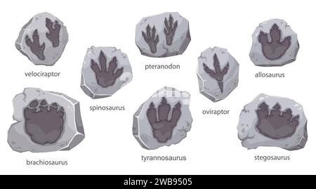 Impronte di dinosauri fossili, pietre archeologiche con profilo dino, vettoriale dei cartoni animati. I dinosauri giurassici stampano la zampa traccia di velociraptor, tyrannosaurus T-rex e stegosaurus o brachiosaurus Illustrazione Vettoriale