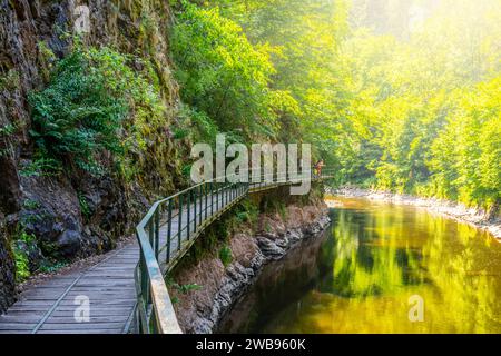 Sentiero con ponte di legno sopra il fiume Jizera. Rieger Trail tra Semily e Spalov. Cechia Foto Stock